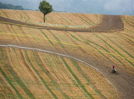 מרחבים אינסופיים (צילום: ניר עמוס)