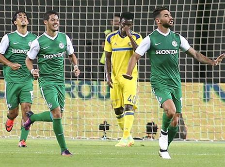 המרגיע הירוק (אלן שיבר)