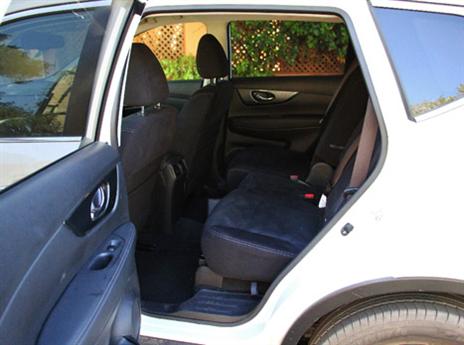 (צילום: אופיר דואק)