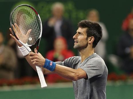 יתאושש ב-2017? ג'וקוביץ' (getty)