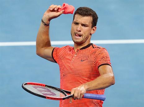 "עברתי שנה יצרית ורגשית". דמיטרוב (getty)