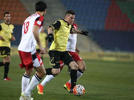 ורד. "חוצפן" (אלן שיבר)