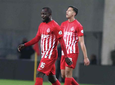 לא הצליחו מול הגדולות (אלן שיבר)