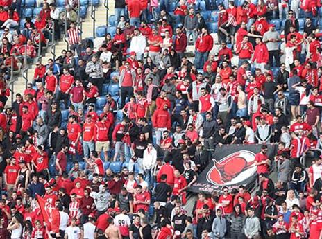 ישרדו בשביל הקהל? (אלן שיבר)