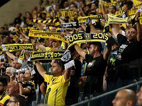 (צילום: אלן שיבר)