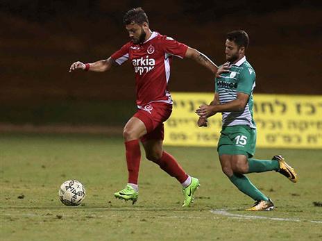 מחמאות לגוטליב (אלן שיבר)