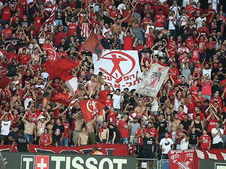 צילום: אלן שיבר