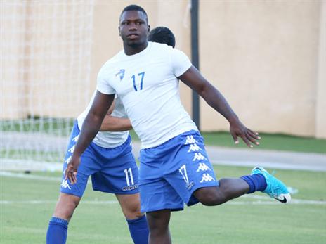 יעבור דרומה? האסלביינק (סוכנות ג'יני)