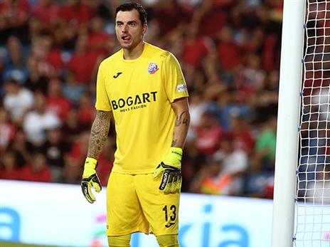 שטקוס. אין לו פגרה (אלן שיבר)