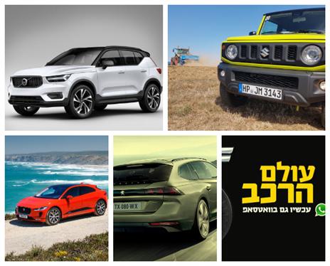 הכוכבות שלנו (צילום: יצרן)