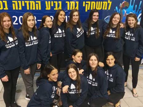 (באדיבות איגוד הכדורמים)