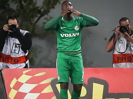 סלליך. "בלבול הכניס אמונה וביטחון" (צילום: אלן שיבר)