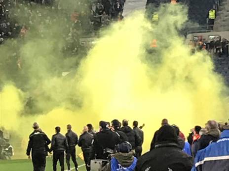 רימון העשן בטדי