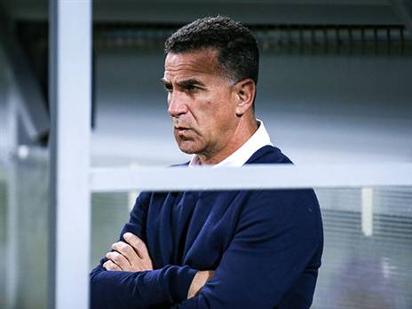 בלבול. יודע שיש על מה לעבוד (אנצ'ו גוש, סוכנות ג'יני)