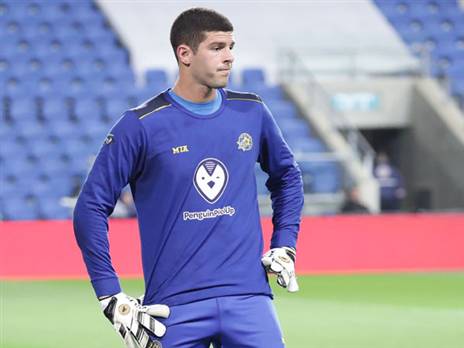 טננבאום יקבל את הקרדיט מאיביץ'? (אלן שיבר)