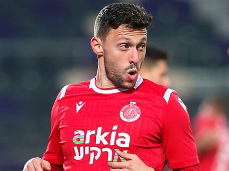 אלטמן. בספק גדול (אלן שיבר)