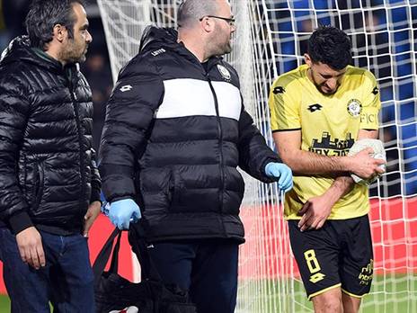 לא סובל משבר, ייעשה ניסיון להכשירו לאשדוד. אלמוג כהן (צילום: ברני ארדוב)