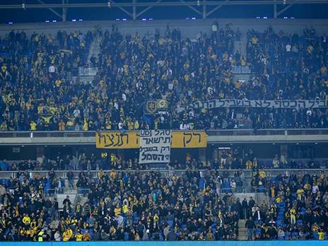 "הקהל יוכל להחזיר את אייל סגל" (צילום: מאור אלקסלסי)