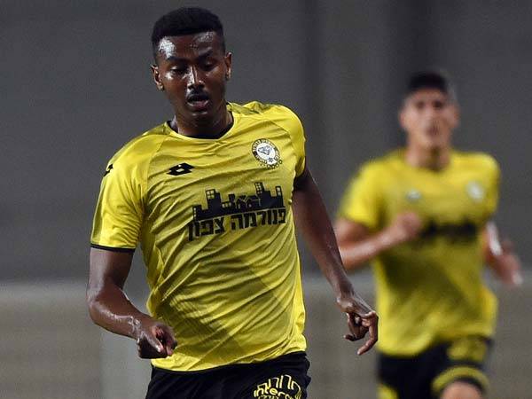 (ברני ארדוב)