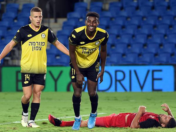 (ברני ארדוב)