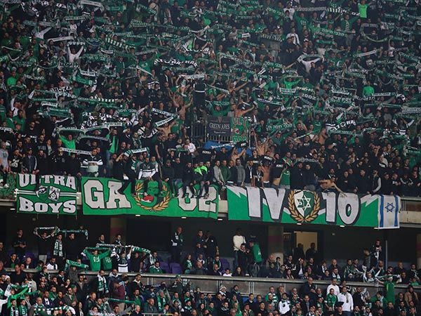 האוהדים רוצים אליפות בכל מחיר (אלן שיבר)