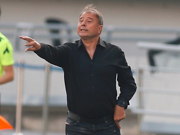 אלישע לוי. בינתיים הוא אופטימי (אלן שיבר)