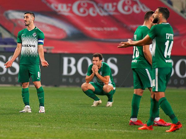 (צילום: אלן שיבר)