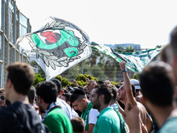 (מאור אלקסלסי)