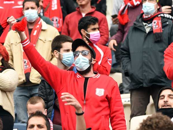 (ברני ארדוב)