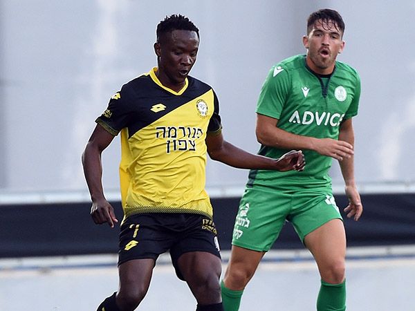 (ברני ארדוב)