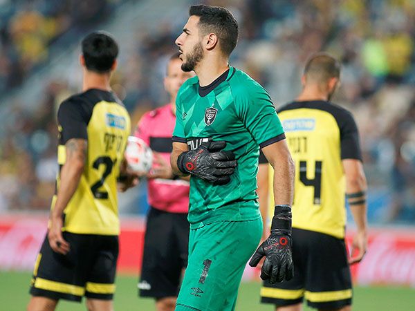 ניצן. לא למכירה (אלן שיבר)