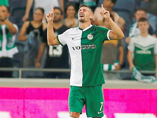 אצילי. נראה חד במיוחד (אלן שיבר)