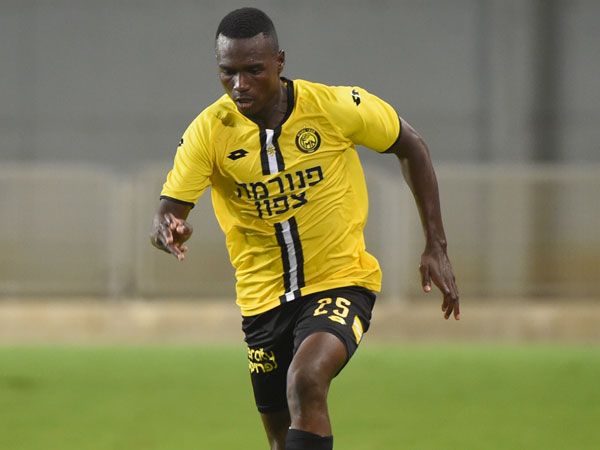 אלשיך. נקודת אור (ברני ארדוב)