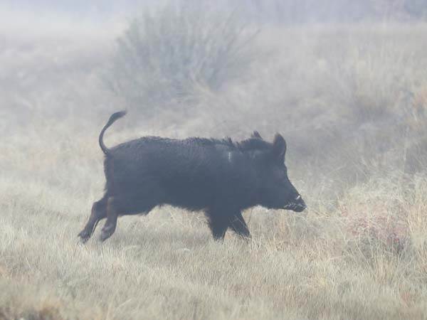 רק צריך להבין איך גורמים להם לחכות לנו בסיום ליד היציע (Getty)