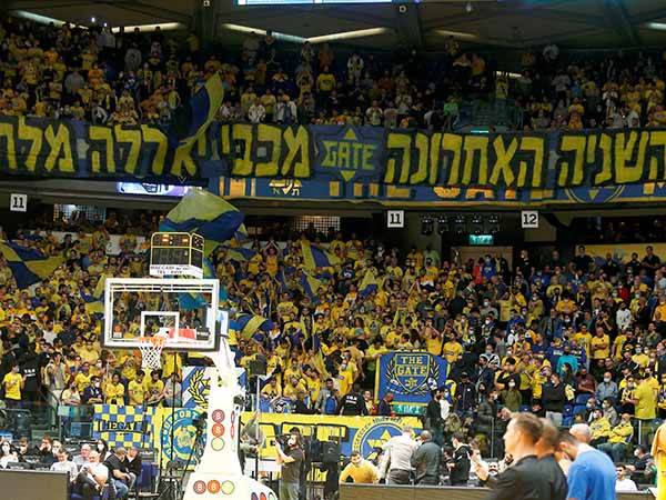 הקהל ביציעים חווה הפסד נוסף (אלן שיבר)