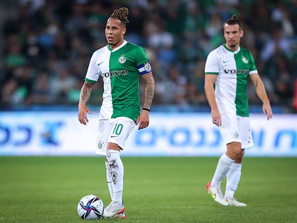 מספרים נמוכים משהתרגלנו לראות. שרי (אלן שיבר)