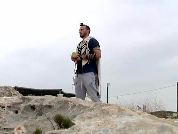 (מתוך הכתבה)