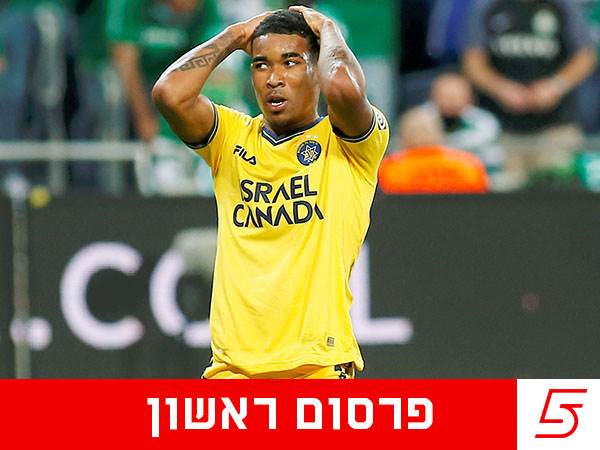 (צילום: אלן שיבר)