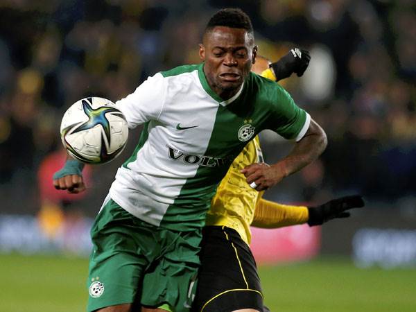 צ'יבוטה. מתחיל להיראות כמו תוספת מבורכת (אלן שיבר)