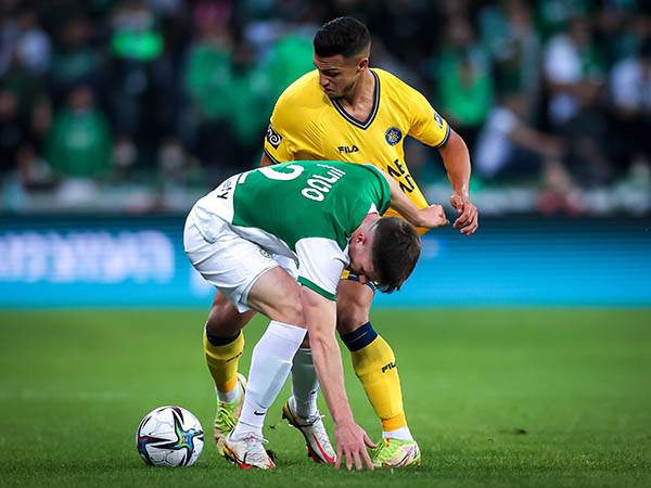 דורך במקום. אלמוג (אלן שיבר)