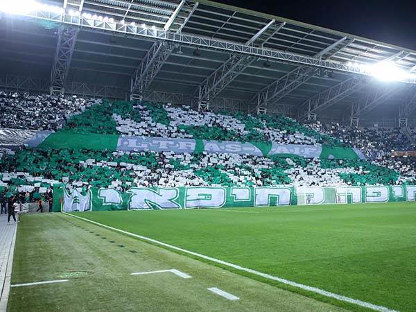 הקהל הירוק שוב יגיע בהמוניו (מאור אלקסלסי)