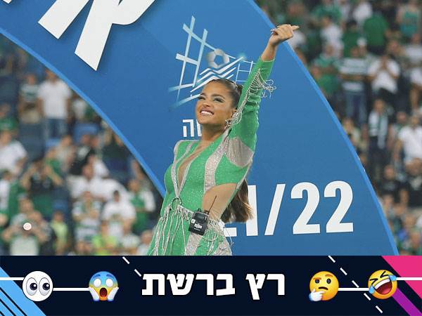 (אלן שיבר)