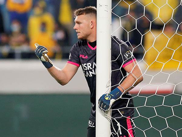 פר. יש התעניינות (אלן שיבר)