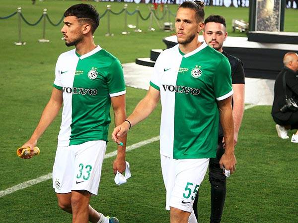 בדרך להולנד (אלן שיבר)