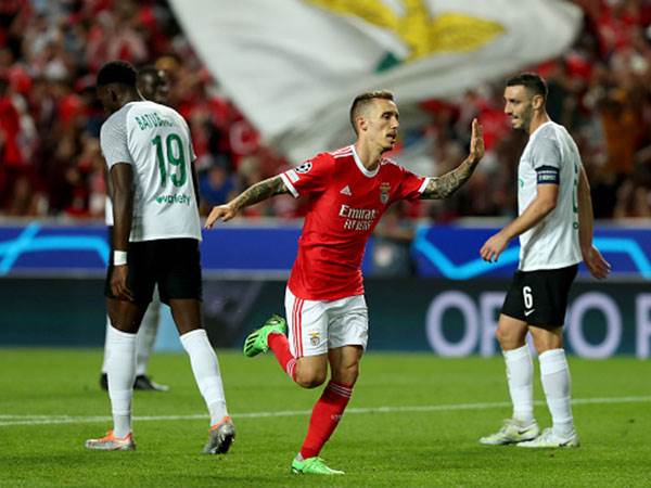 פשוט גדול עליהם. כרגע (Getty)