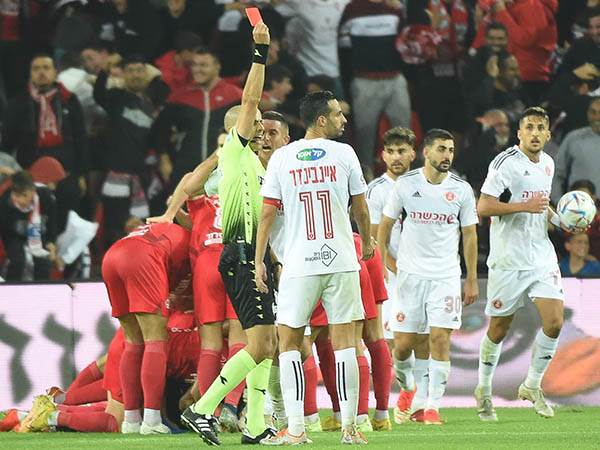 (ברני ארדוב)