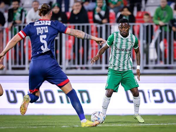 צ'יבוטה. זכה למחמאות (מאור אלקסלסי)