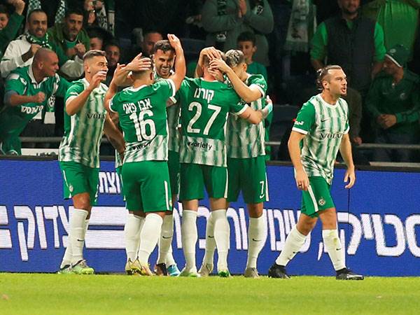 (צילום: אלן שיבר)