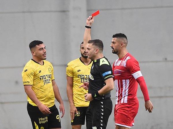 נגח והוענש (ברני ארדוב)