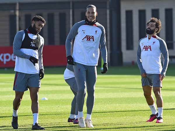 יחזור לסגל בשבת? ואן דייק (getty)